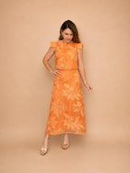 Conjunto Amaltea