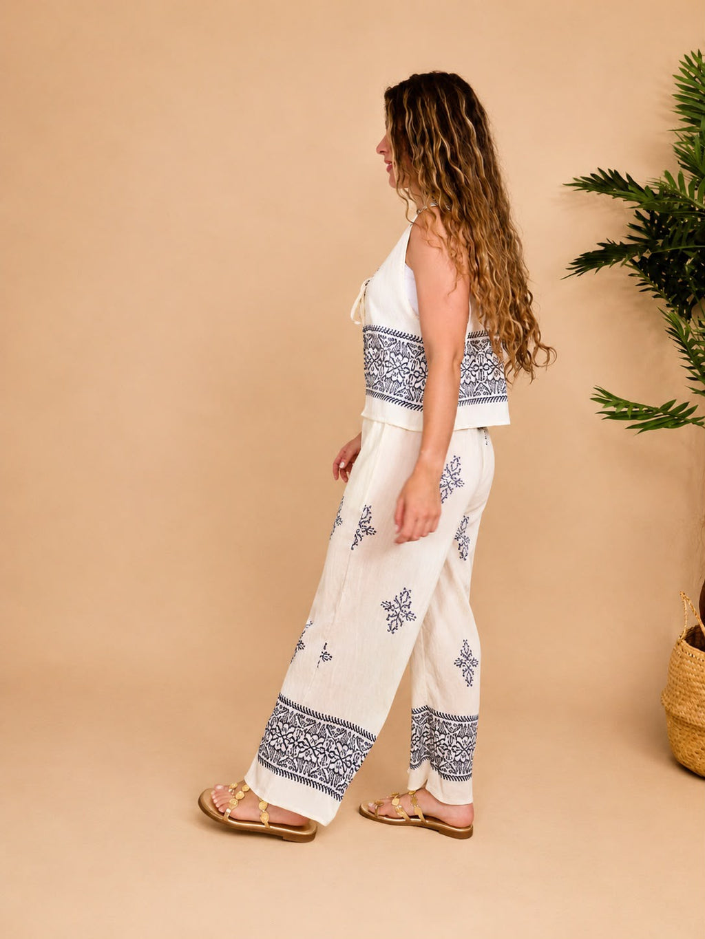 Conjunto Oliva